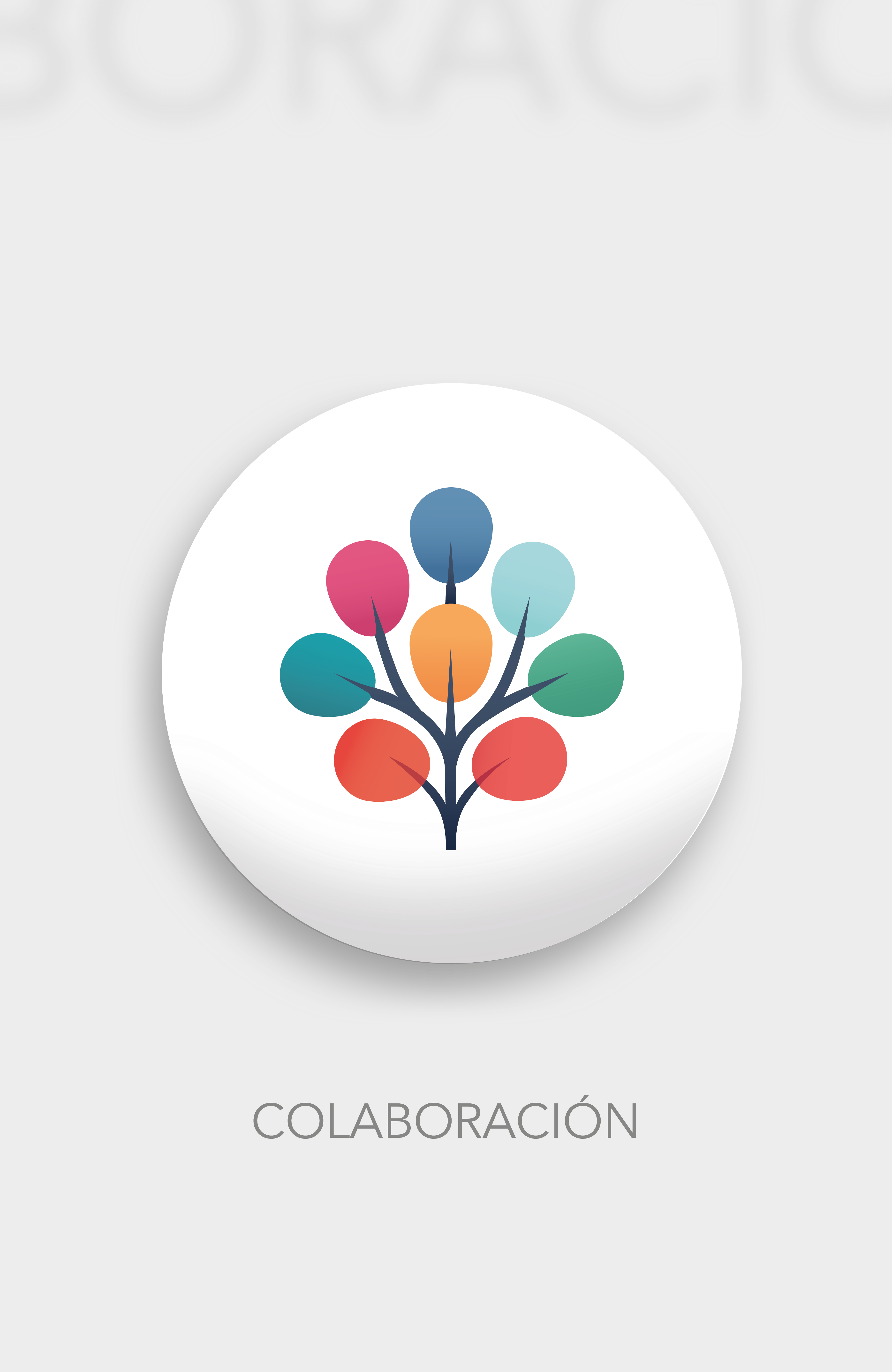 Colaboracion@2x